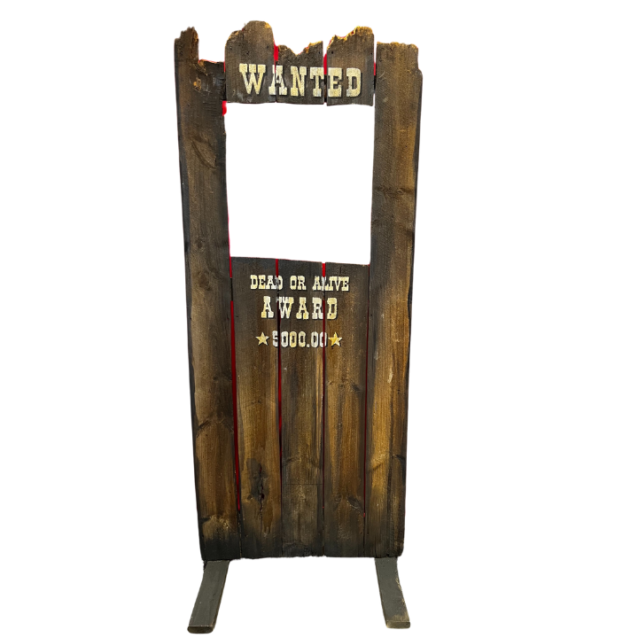 4191-Western Wanted Stand Up Photo Frame