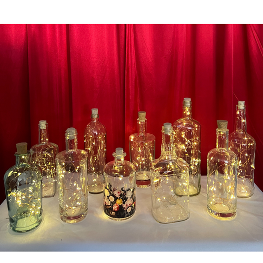 4202-Bottles with Lights