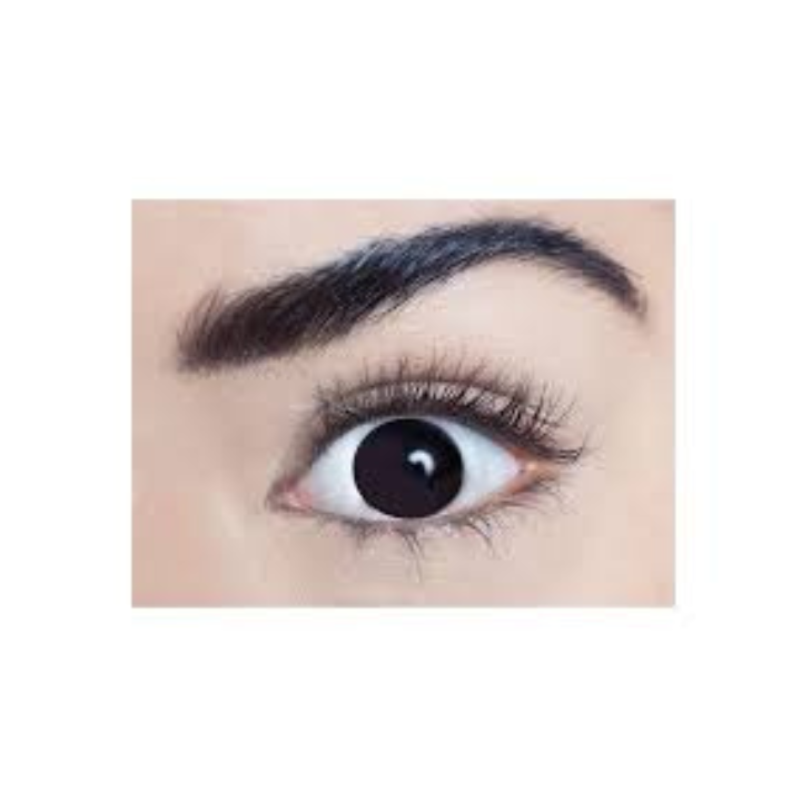 Sclera Black Cosmetic Contact Lenses 3 month Wear