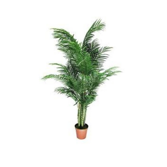 Artificial Areca Palm tree for a tropical atmosphere
