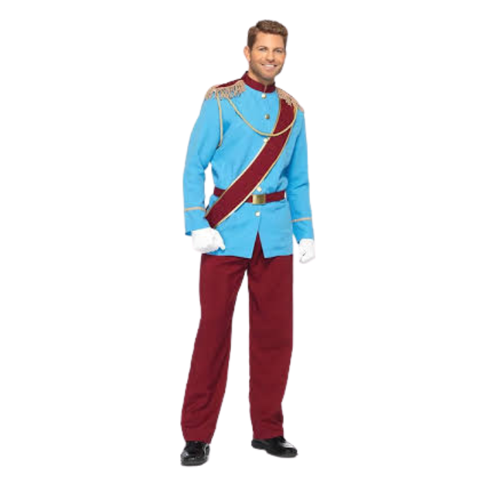 Prince Charming Costume to hire